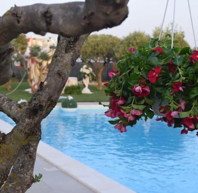 بياتْسا أرمارِنا B&B Villa Antonella المظهر الخارجي الصورة