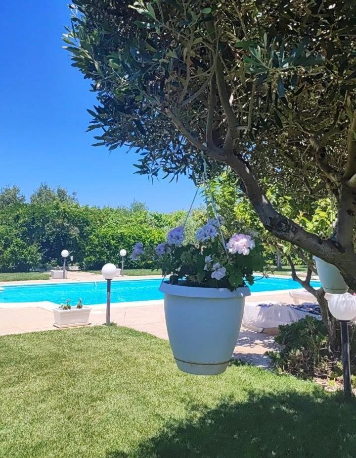 بياتْسا أرمارِنا B&B Villa Antonella المظهر الخارجي الصورة