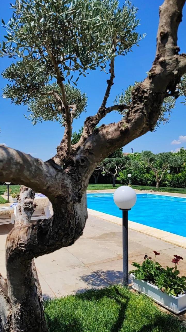 بياتْسا أرمارِنا B&B Villa Antonella المظهر الخارجي الصورة